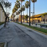 Muere un galgo apuñalado en la protectora de La Palma del Condado