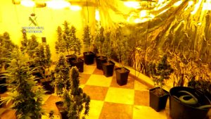 La Guardia Civil ha tenido a dos personas por su supuesta participación en un delito contra la salud pública y como responsables de una plantación de marihuana en una vivienda