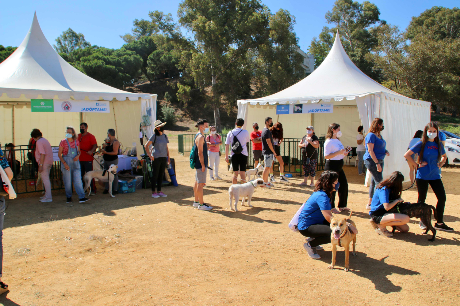 Diputación celebra la 2ª edición de la Feria Provincial de adopción de animales