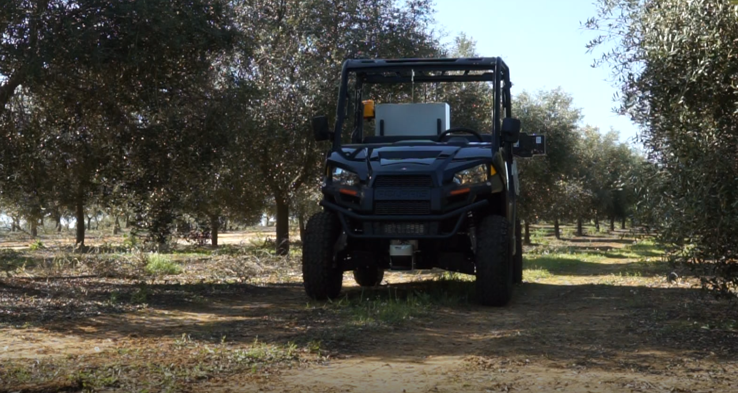 La UHU diseña robots para optimizar la producción de los cultivos de olivo