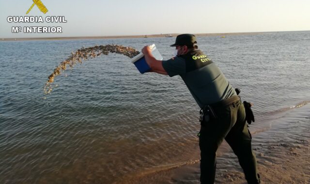 La Guardia Civil investiga a seis personas por marisqueo ilegal en la provincia