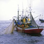 La flota marisquera de Huelva teme un parón ante el final del acuerdo pesquero con Mauritania