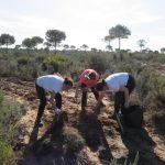 Ecologistas trabajan en restaurar zonas afectadas por el incendio de Las Peñuelas