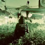La Guardia Civil desmantela una plantación de marihuana en una vivienda de Villalba del Alcor deteniendo a dos personas
