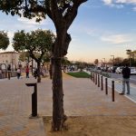 La Avenida de la Zarcilla en La Palma se convierte en un espacio verde