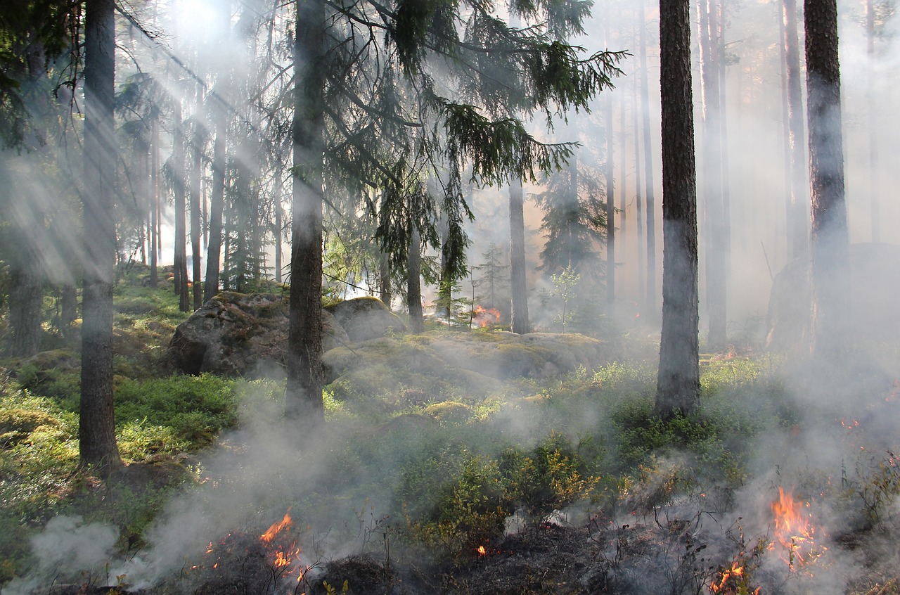 La Junta de Andalucía activa el alto riesgo de incendios forestales