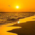 El Condado de Huelva presenta su nueva campaña turística “Todo lo que imaginas, cerca de ti”