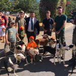 20 rehalas de perros han participado en la VII Concentración de Podencos Paterninos