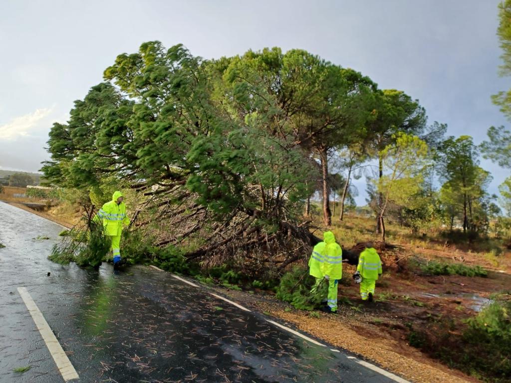 El temporal deja un fallecido en Trigueros debido a un desprendimiento en un camino