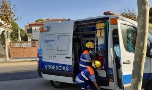 Fallece un hombre tras caer de un pino mientras realizaba labores de poda en Cartaya