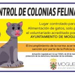 Moguer aboga por un protocolo para el control de las colinas felinas