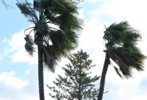 Andalucía suspende las clases este miércoles y eleva el Plan de Emergencia a nivel 2