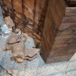 Identifican al autor de los daños contra el patrimonio local en Bollullos