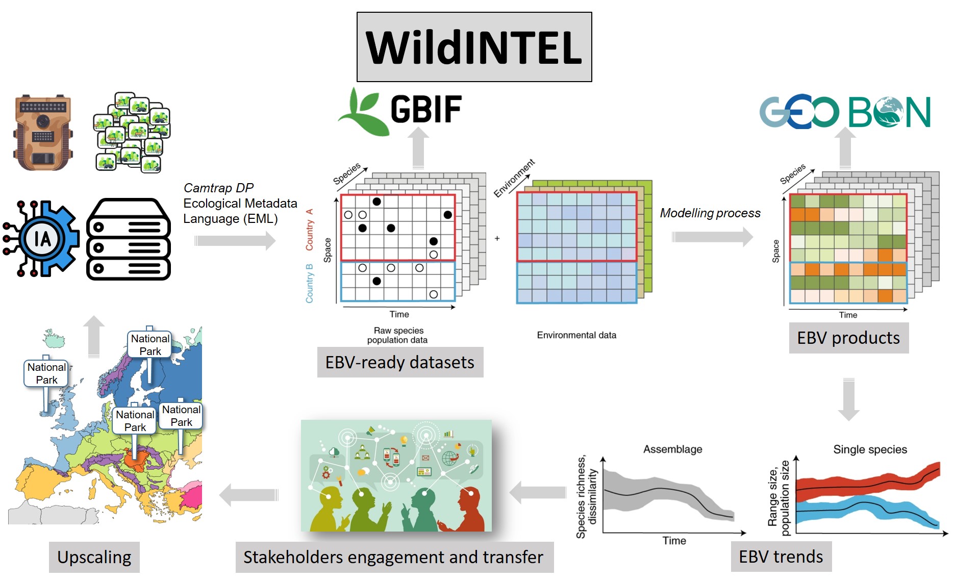 La UHU pone en marcha el proyecto WildINTEL para la monitorización de la vida silvestre usando Inteligencia Artificial