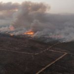 La Junta estima acabar el Plan de Restauración por el incendio de Doñana en 2024
