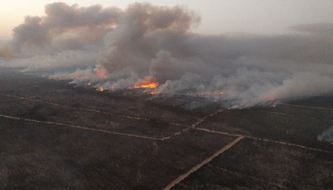 La Junta estima acabar el Plan de Restauración por el incendio de Doñana en 2024