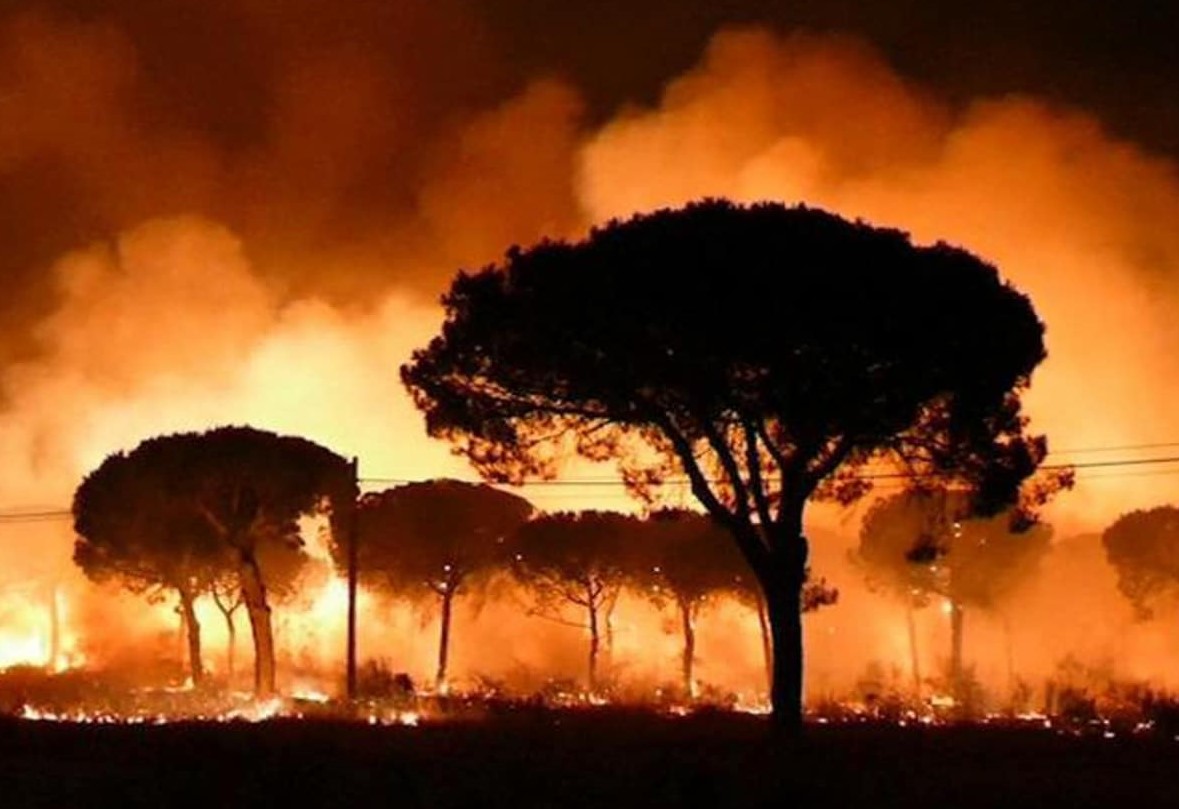 Imagen del incendio originado en 2017 en el entorno del Parque Nacional de Doñana. EFE