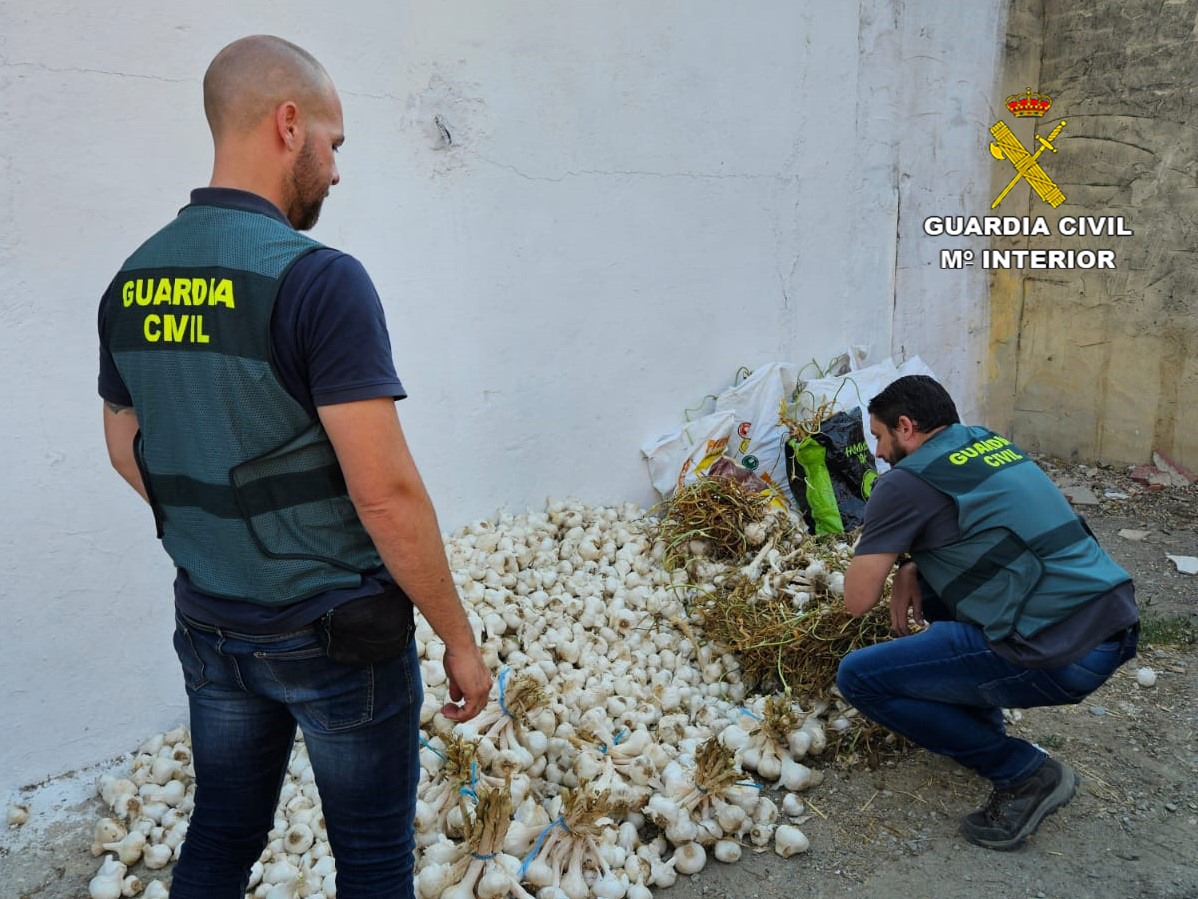 La Guardia Civil esclarece un robo de ajos en La Palma