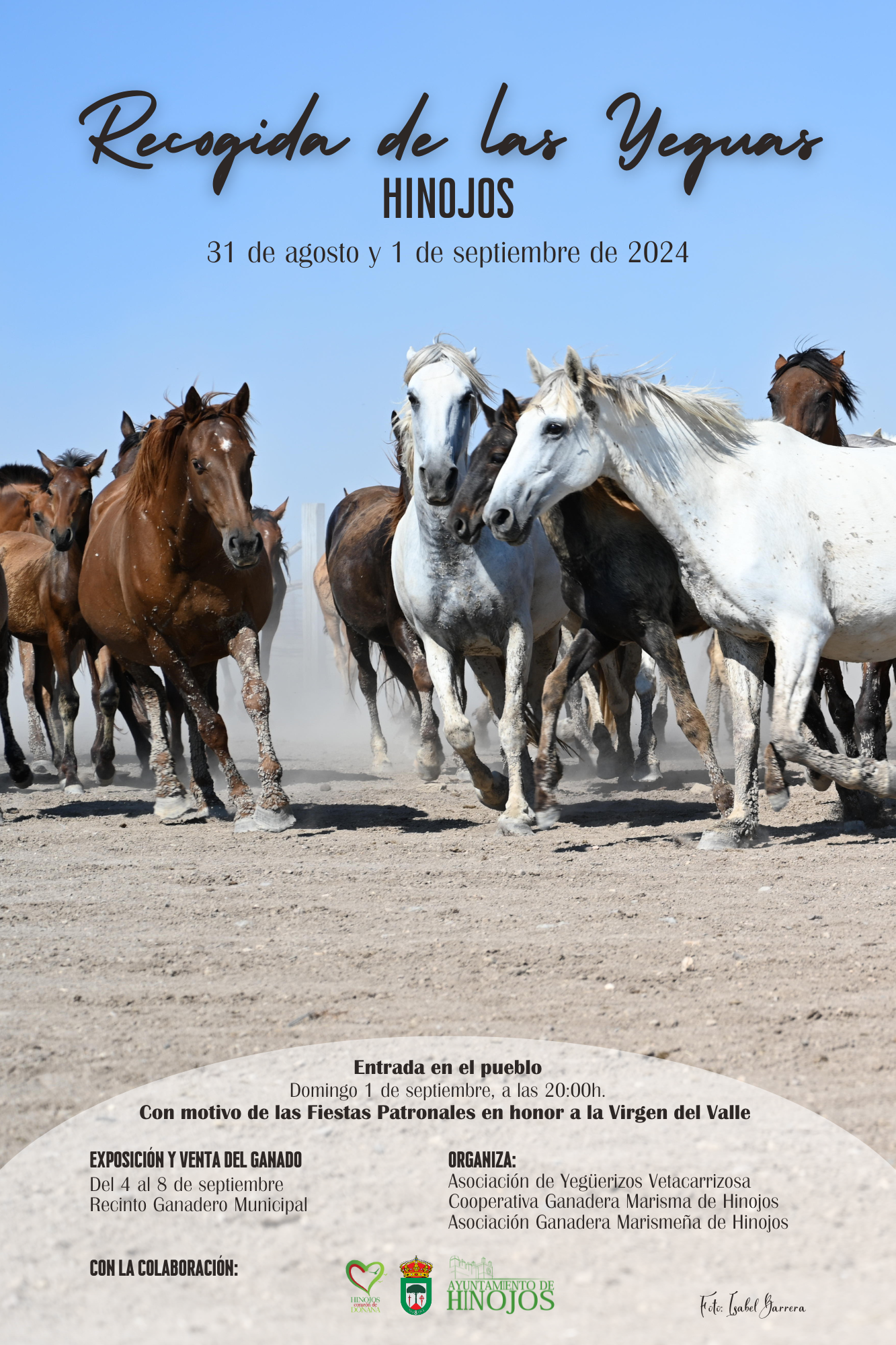 Hinojos presenta el cartel anunciador, vuelva la Recogida de las Yeguas 2024