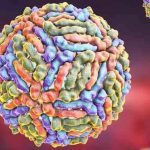 El Virus del Nilo, ¿qué es y que efectos tiene en las personas?