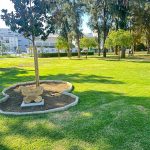 Rico visita los jardines del Muelle de la ciudad de Huelva para supervisar los trabajos subvencionados con fondos el PFEA