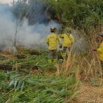 Declaran activo un incendio en el arroyo Giraldo término de Villalba del Alcor