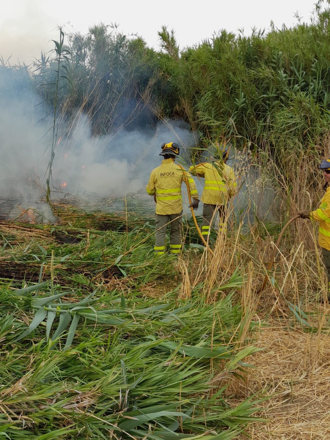 Declaran activo un incendio en el arroyo Giraldo término de Villalba del Alcor