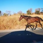El Ayuntamiento desmiente la denuncia contra José Antonio Cabrera