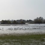 “WE 4 GREEN” llega a su fin, consolidando acuerdos verdes locales y fortaleciendo la acción climática en Europa