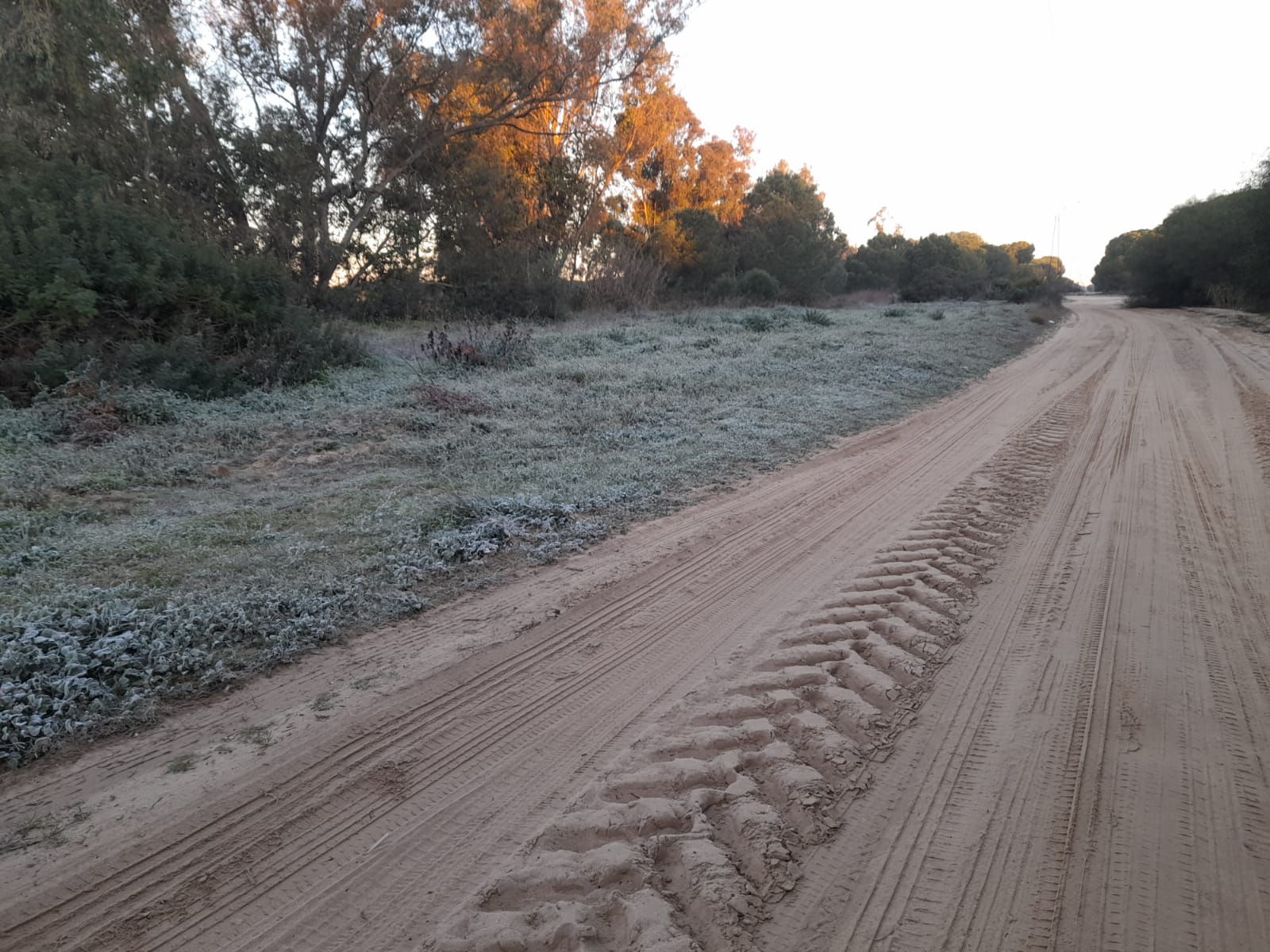 Mañanas de enero en el Condado de Huelva.