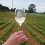 VINOBLE 2026 impulsa la proyección internacional de los vinos del Condado de Huelva