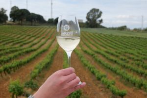 VINOBLE 2026 impulsa la proyección internacional de los vinos del Condado de Huelva
