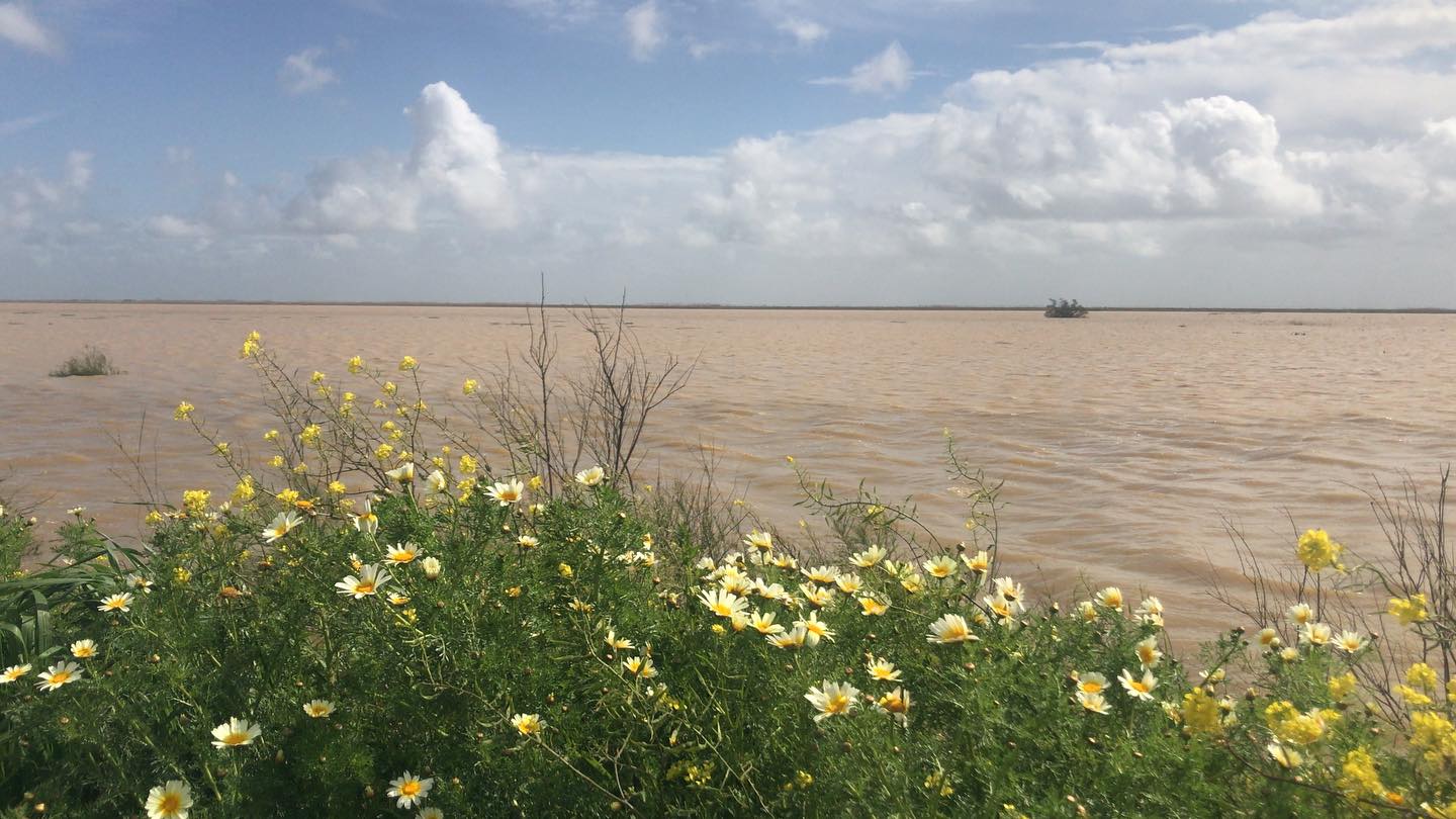 Discovering Doñana - Corredor Verde del Guadiamar
