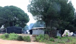 Un incendio calcina 300 chabolas en un asentamiento de Palos y deja a decenas de personas sin hogar