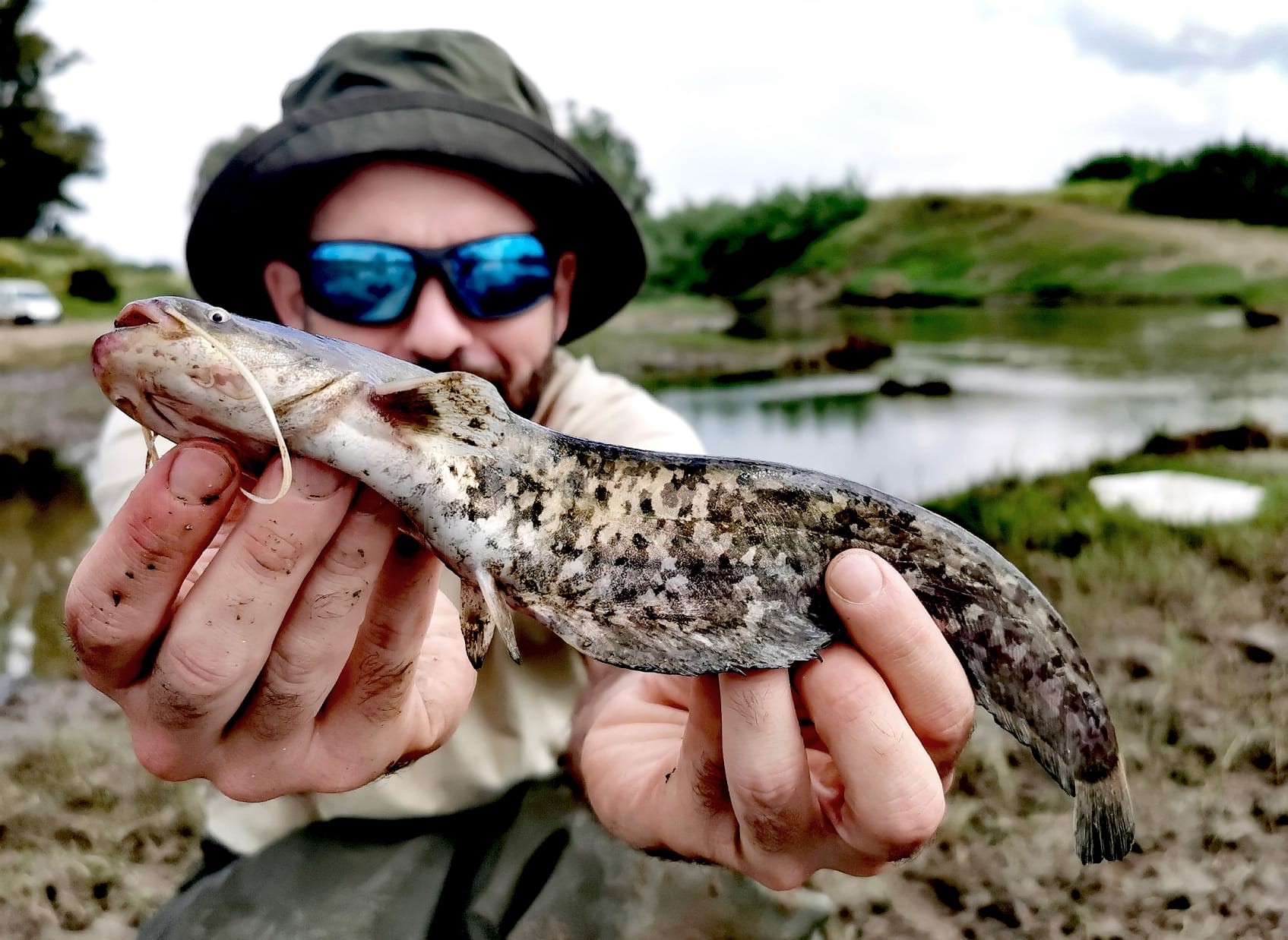 Sergio Bedmar, investigador predoctoral de la Estación Biológica de Doñana con uno de los individuos juveniles de siluro capturados durante uno de los muestreos en la Rivera de Huelva. Autor: Miguel Clavero