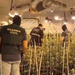 La Guardia Civil desmantela una plantación de marihuana en la localidad de Hinojos