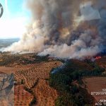 Controlado el incendio declarado este pasado viernes en el paraje Los Almendrillos en Paterna del Campo