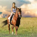 Bollullos celebrará la Convivencia Ecuestre Nocturna de la Pre Feria 2025