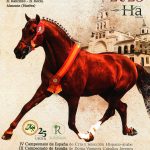 El Rocío acogerá por primera vez el Certamen HISPANO-ÁRABE 2025 con la participación de 40 ganaderías de toda España