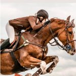 Villalba del Alcor acoge el Concurso Territorial de Saltos de Obstáculos de la Liga FAH 2025