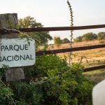 Almonte presenta alegaciones al Plan Director para una conservación de Doñana compatible con su realidad social y cultural