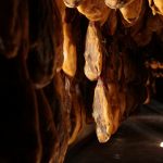 El Ayuntamiento de Jabugo celebra una campaña navideña excelente para el sector del cerdo Ibérico del municipio