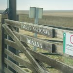 Almonte reclama una normativa de Doñana que combine participación, desarrollo local y conservación del territorio 