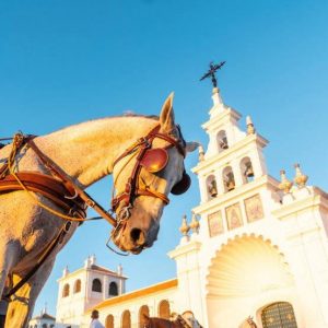 El Ayuntamiento de Almonte informa sobre la movilidad equina para la Romería del Rocío 2026