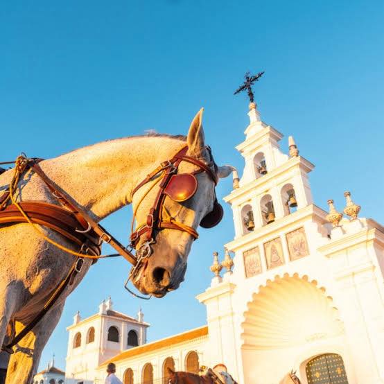 El Ayuntamiento de Almonte informa sobre la movilidad equina para la Romería del Rocío 2026