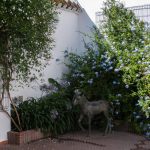 Diputación de Huelva convoca el Premio Iberoamericano de Poesía Juan Ramón Jiménez