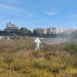 Huelva lidera Andalucía con la máxima calificación en el control de la Fiebre del Nilo Occidental