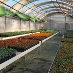 Diputación comienza el reparto de flores de temporadas a ayuntamientos y ELA dentro de la campaña especial 2026