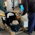 Intervenidos 600 kilos de productos pesqueros en la provincia de Huelva