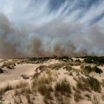 Un análisis preliminar estima que el incendio de Doñana ha afectado a unas 500 hectáreas